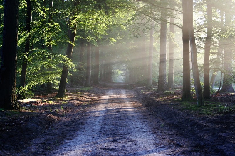 Nature Trail Meditation